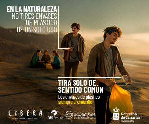 Ecoembes - SUP Verano 2026 (Agosto 2026)