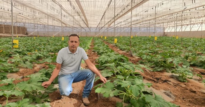 Elías Marrero: “La agricultura canaria necesita producir más valor con los mismos recursos”