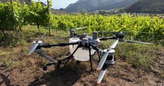 Inteligencia artificial y drones: la DOP Islas Canarias – Canary Wine participa en la viticultura del futuro