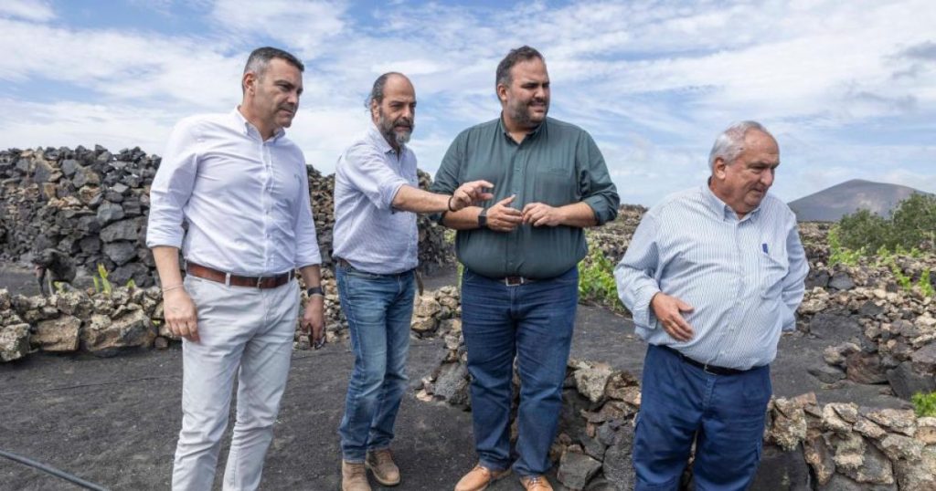 El Cabildo destina más de 1,1 M€ en ayudas para los agrosistemas de La Geria y el sector pesquero