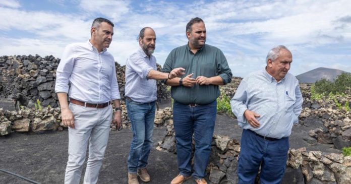 El Cabildo destina más de 1,1 M€ en ayudas para los agrosistemas de La Geria y el sector pesquero