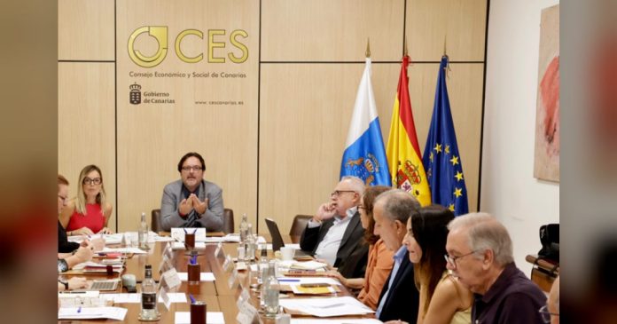 El Consejo Económico y Social de Canarias (CES) respalda el “Anteproyecto de la Ley de la Canariedad en el Exterior” y propone reforzar la protección, el retorno y los vínculos con las comunidades canarias fuera de las islas