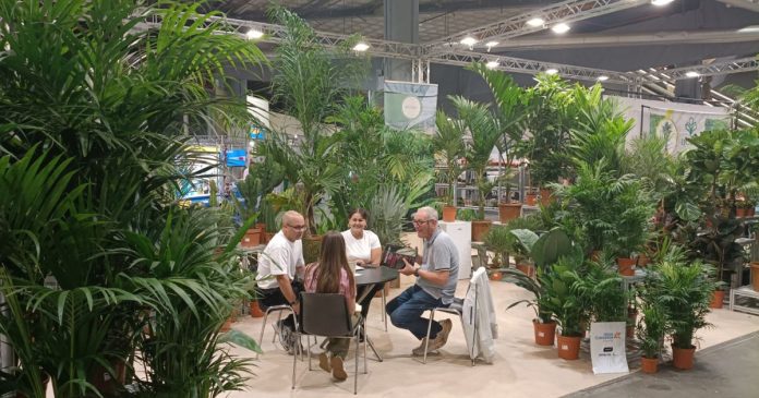 El sector de las flores y plantas siembra sus objetivos de exportación en la mayor feria nacional, Iberflora