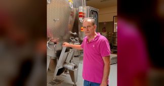 José Bruno Albertos: “Si tenemos que pagar más por el kilo de uva, lo pagamos para compensar al viticultor y garantizar que siga cuidando la viña”