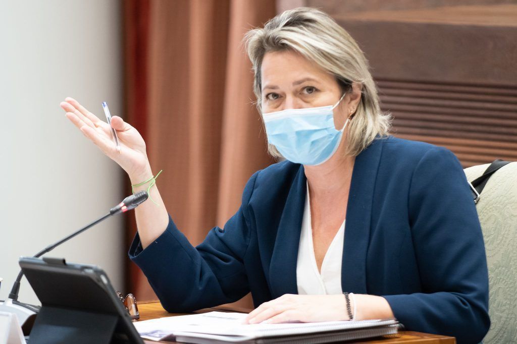 El Gobierno canario destina 10 millones para el sector hortícola afectado por la pandemia