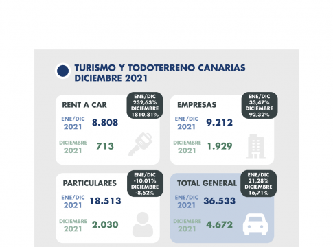 Las matriculaciones de diciembre caen en todos los segmentos salvo el de turismos