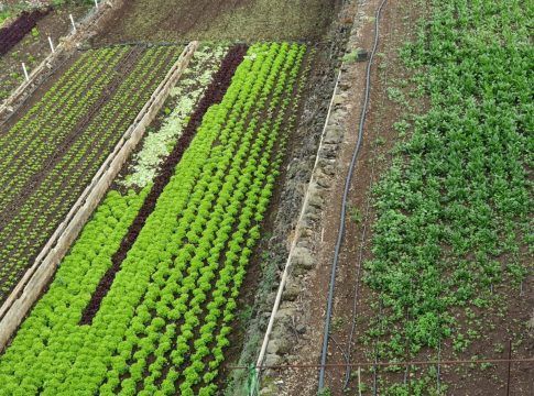 Transición Ecológica amplía el plazo para las ayudas sobre eficiencia energética en explotaciones agropecuarias