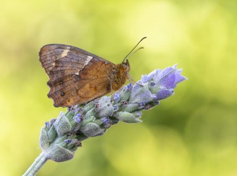 Las herramientas BIOCAN y BIOTA se ponen al servicio de la educación ambiental
