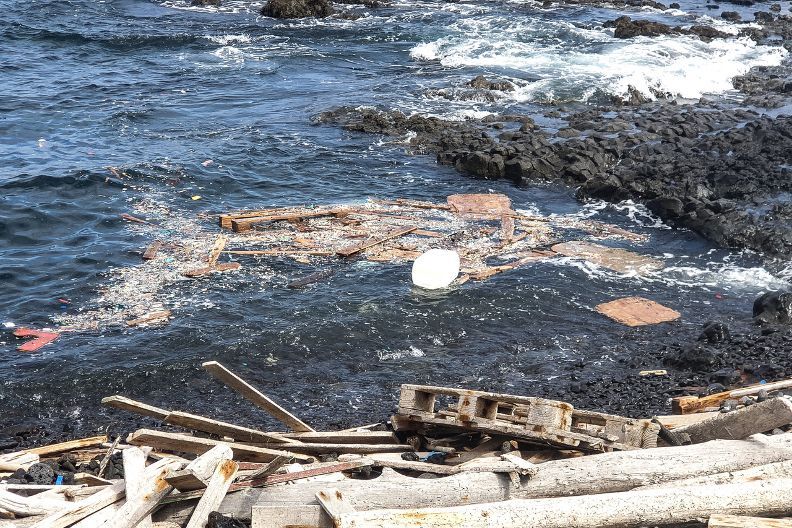 El Instituto Universitario ECOAQUA de la ULPGC constata por primera vez la bioacumulación de contaminantes químicos en peces por la ingestión de microplásticos