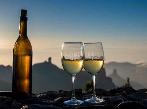 La Universidad de La Laguna convoca la primera mesa técnica de enoturismo de Canarias