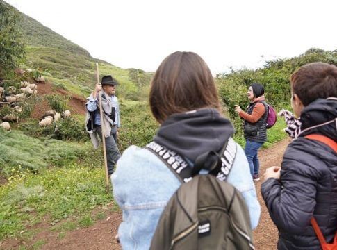 La ULL potencia la industria quesera canaria desde la formación