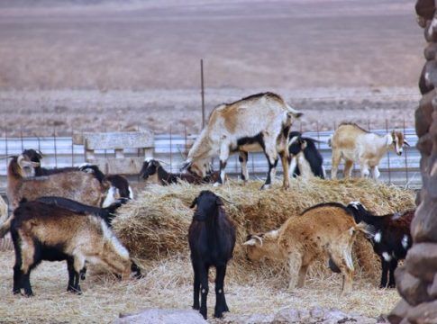 El Gobierno convoca ayudas para compatibilizar la producción agrícola con el cuidado del medioambiente