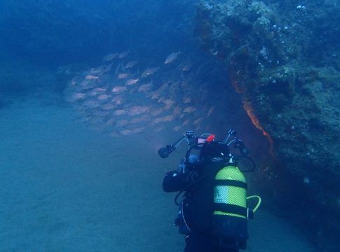 La ULPGC logra el primer proyecto de investigación del programa ‘Horizonte Europa’, focalizado en el crecimiento azul, la biodiversidad y los servicios ecosistémicos