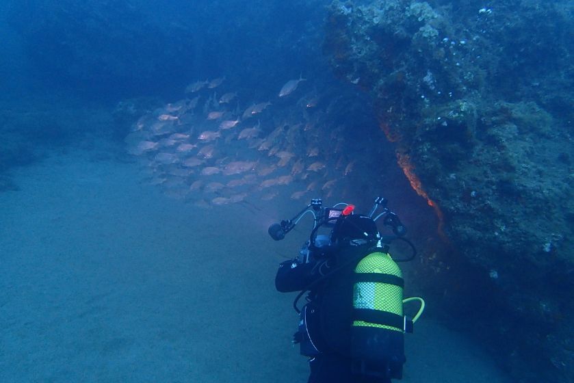 La ULPGC logra el primer proyecto de investigación del programa ‘Horizonte Europa’, focalizado en el crecimiento azul, la biodiversidad y los servicios ecosistémicos