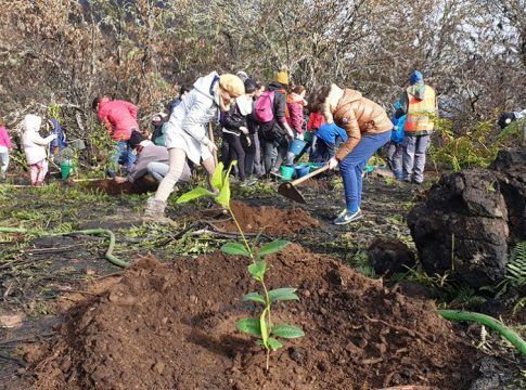 Canarian Hospitality conmemora el Día Internacional de los Bosques con el programa ‘No tires la toalla por el planeta’