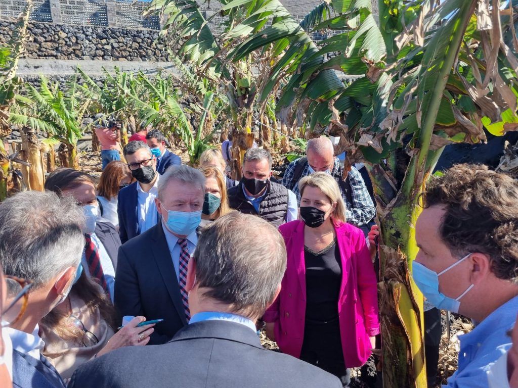 Vanoostende valora que Europa mantenga el mismo nivel de ayudas a los productores afectados por el volcán