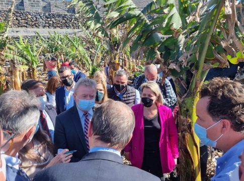 Vanoostende valora que Europa mantenga el mismo nivel de ayudas a los productores afectados por el volcán