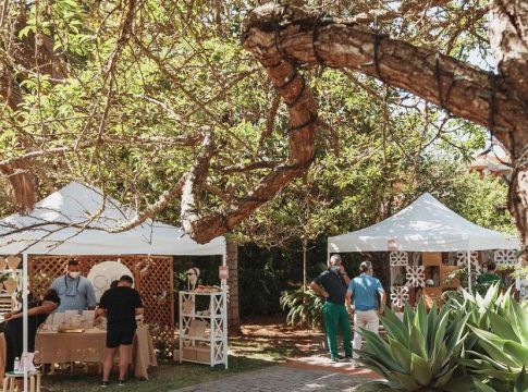 Vuelve el Dreamer Market