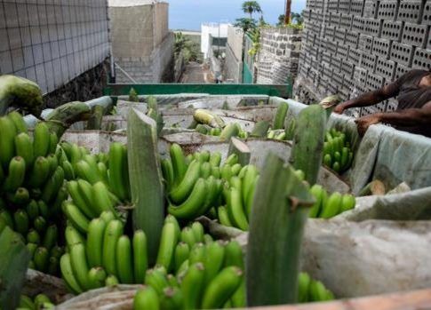 Medidas urgentes para la protección de los trabajadores autónomos, y recuperación económica de la palma