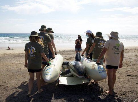 Loro Parque Fundación colabora en una formación en varamiento de cetáceos