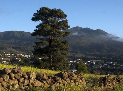 Transición Ecológica destina 510.000 euros en ayudas para las Reservas de la Biosfera de Canarias