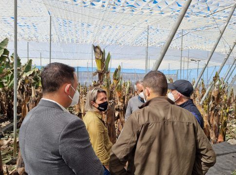 El Gobierno contrata a Agroseguro para la tasación de los daños en instalaciones agrícolas afectadas por el volcán
