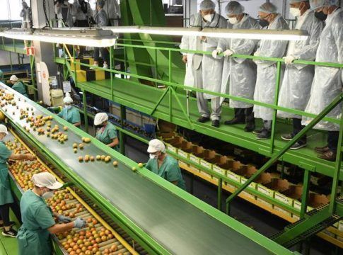 Impulso al tomate de la mano de Spar