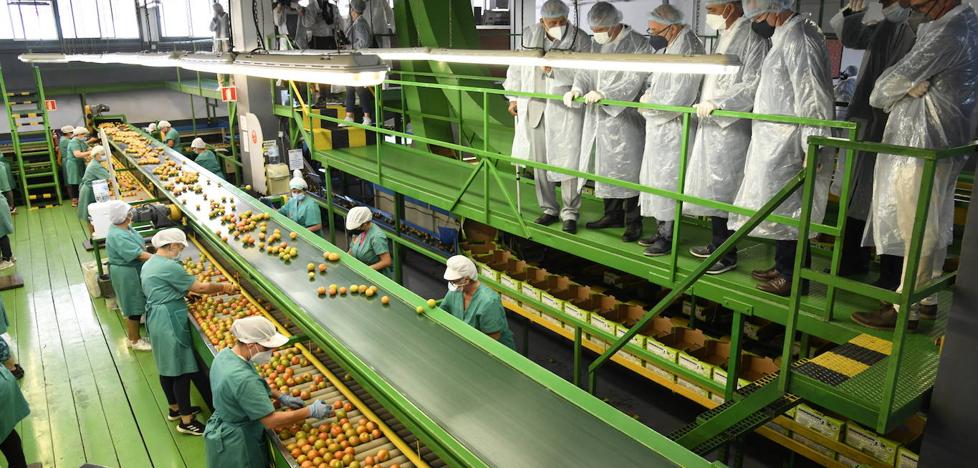 Impulso al tomate de la mano de Spar