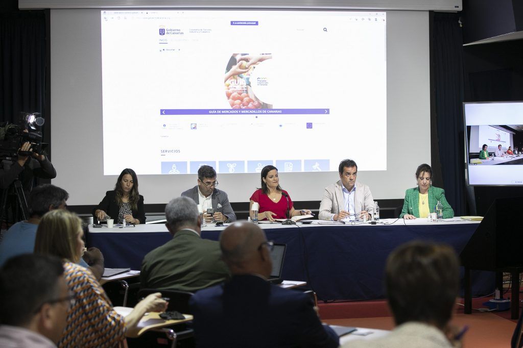 Comercio de Canarias impulsa una nueva ley adaptada a los nuevos negocios y más flexible con las aperturas