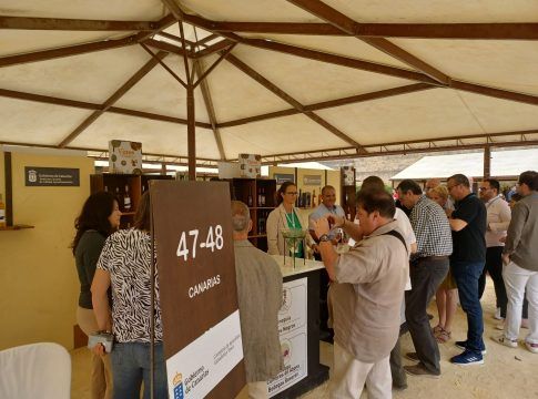 Siete bodegas de Canarias exponen sus vinos en la Feria Vinoble de Jerez de la Frontera