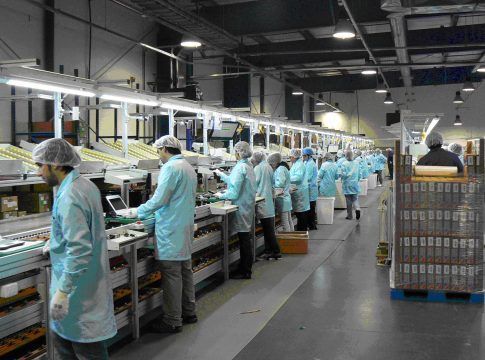 La producción industrial en Canarias se mantiene en terreno positivo desde mediados de 2021