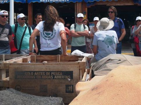 Fuerteventura reúne esta semana a los socios internacionales del proyecto CAPonLITTER