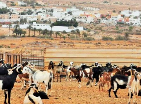 335.000 euros para el sector primario de Antigua