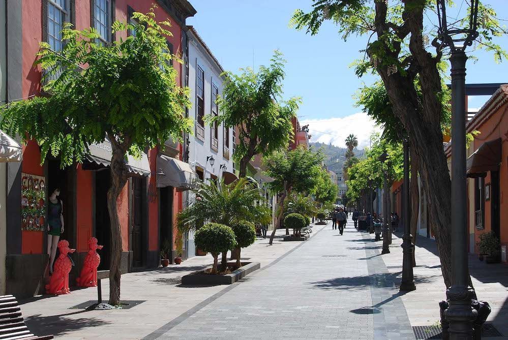 La Cámara pone en marcha la iniciativa La Palma Living Lab