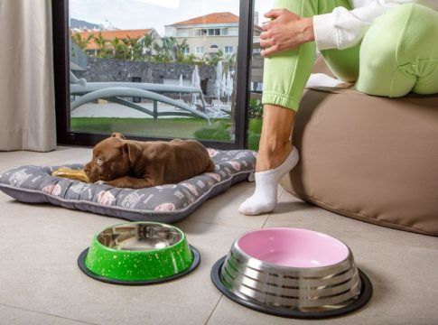 <strong>MYND Adeje honra su filosofía sostenible con su oferta ‘pet-friendly’</strong>