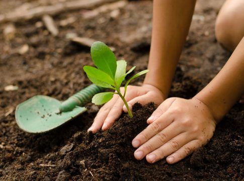 H10 Hotels presenta Stay Green, su Plan de Sostenibilidad para promover un turismo responsable