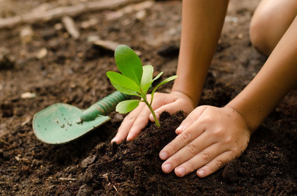 H10 Hotels presenta Stay Green, su Plan de Sostenibilidad para promover un turismo responsable