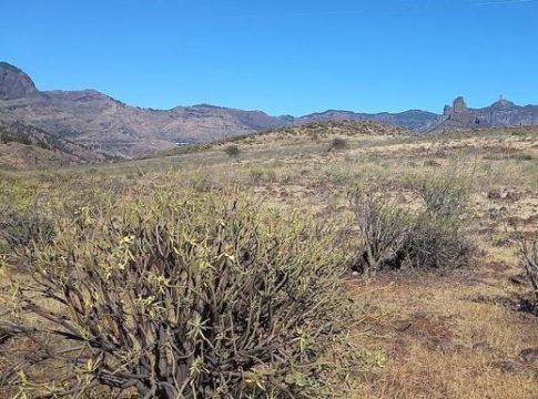 34 millones hasta 2026 para el Paisaje Cultural de Gran Canaria