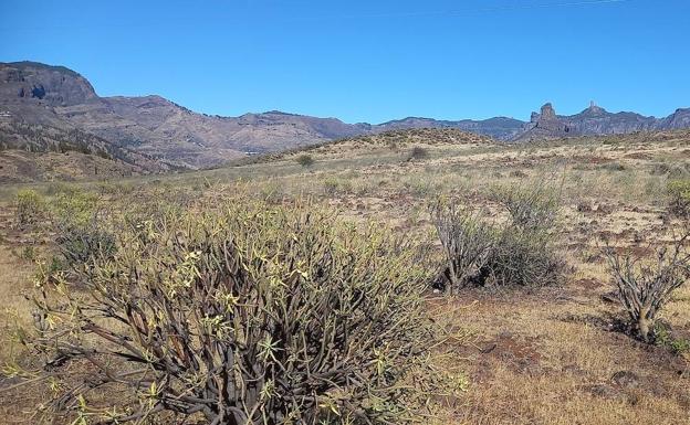 34 millones hasta 2026 para el Paisaje Cultural de Gran Canaria