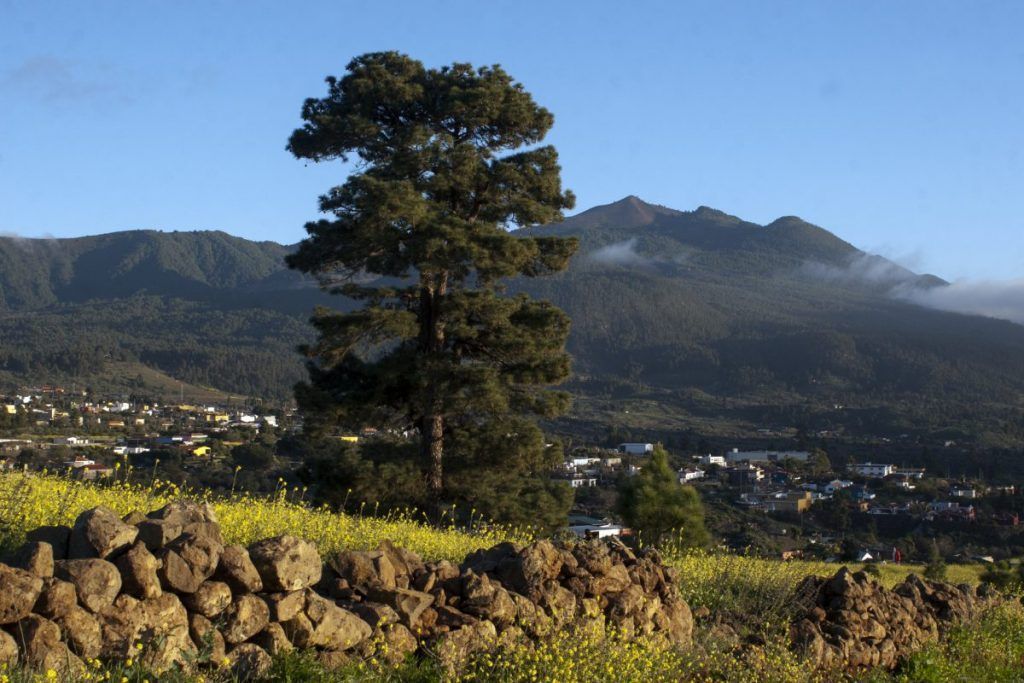 Transición Ecológica consigna más de medios millón de euros a 25 proyectos de las Reservas de la Biosfera