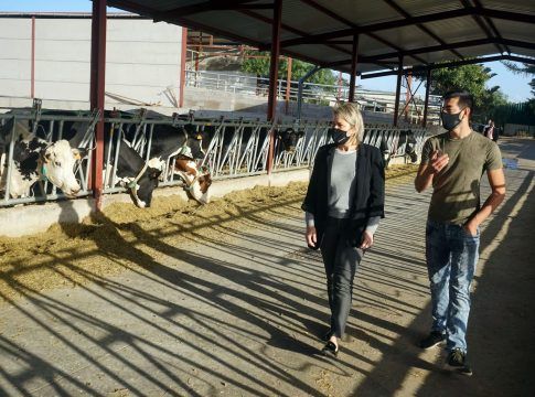 El Gobierno concede más de 300.000 euros a los ganaderos para compensar los efectos económicos de la guerra