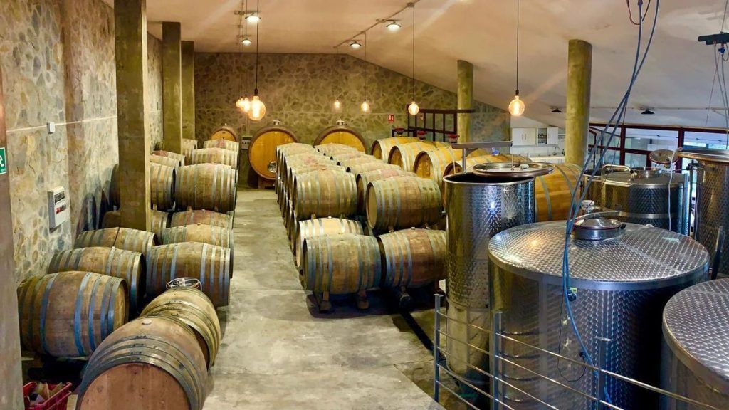 La bodega canaria Suertes del Marqués, entre las 100 mejores del mundo