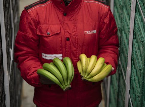 SPAR certifica su proceso de maduración controlada del plátano de Canarias