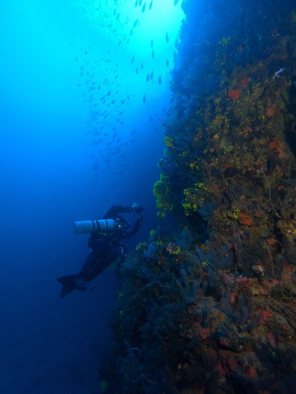 <strong>ECOAQUA se adentra en las aguas de Cabo Verde con el proyecto internacional DISCOVER, que pretende encontrar y describir “nuevas especies” de invertebrados marinos</strong>