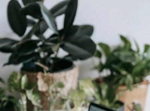 Nace Escuela Hostelera, una herramienta para optimizar la formación en la industria turística