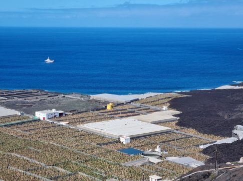 El Gobierno abona un tercer anticipo de 1,8 millones para contribuir a la recuperación del plátano en La Palma