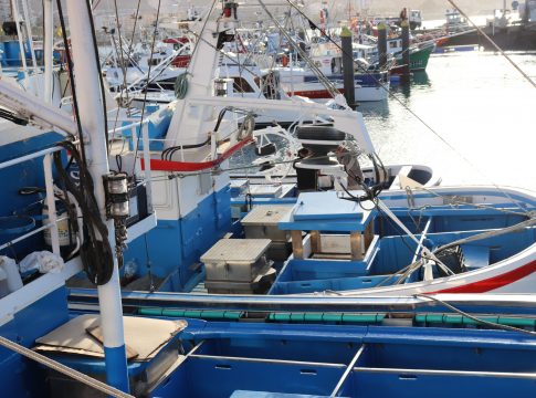 El Gobierno de Canarias defiende ante el Ministerio las reivindicaciones del sector pesquero sobre la tuna