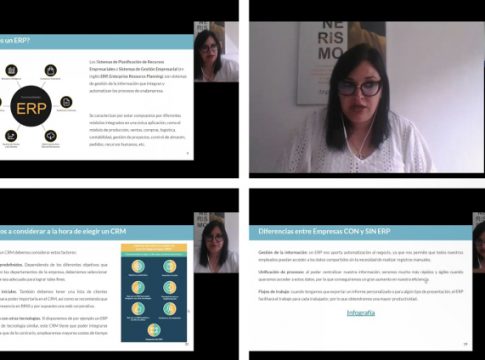 Iniciación a la Gestión Empresarial y a la Relación con los Clientes (ERP + CRM)