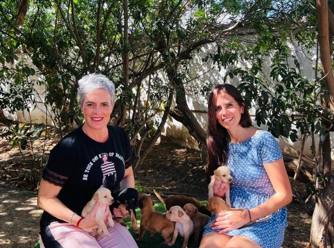 Fundación DinoSol ha donado en lo que va de año 9.000 kg de comida para las protectoras de animales
