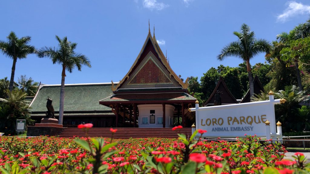 Loro Parque reunirá a los mayores expertos en conservación del mundo